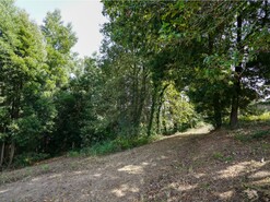 Terreno R�stico T0 - Santiago de Riba-Ul, Oliveira de Azem�is, Aveiro - Miniatura: 11/18