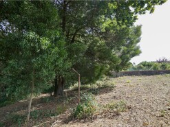 Terreno R�stico T0 - Santiago de Riba-Ul, Oliveira de Azem�is, Aveiro - Miniatura: 13/18