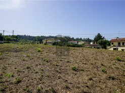 Terreno R�stico T0 - Santiago de Riba-Ul, Oliveira de Azem�is, Aveiro - Miniatura: 14/18