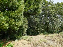 Terreno R�stico T0 - Santiago de Riba-Ul, Oliveira de Azem�is, Aveiro - Miniatura: 18/18