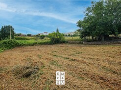 Terreno R�stico T0 - S�o Jo�o de Ver, Santa Maria da Feira, Aveiro - Miniatura: 6/13