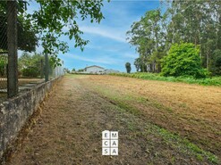 Terreno R�stico T0 - S�o Jo�o de Ver, Santa Maria da Feira, Aveiro - Miniatura: 9/13
