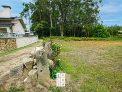 Terreno R�stico T0 - S�o Jo�o de Ver, Santa Maria da Feira, Aveiro - Miniatura: 12/13