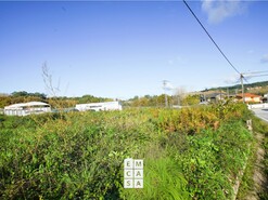 Terreno R�stico T0 - Fi�es, Santa Maria da Feira, Aveiro - Miniatura: 8/12