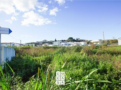 Terreno R�stico T0 - Fi�es, Santa Maria da Feira, Aveiro - Miniatura: 9/12