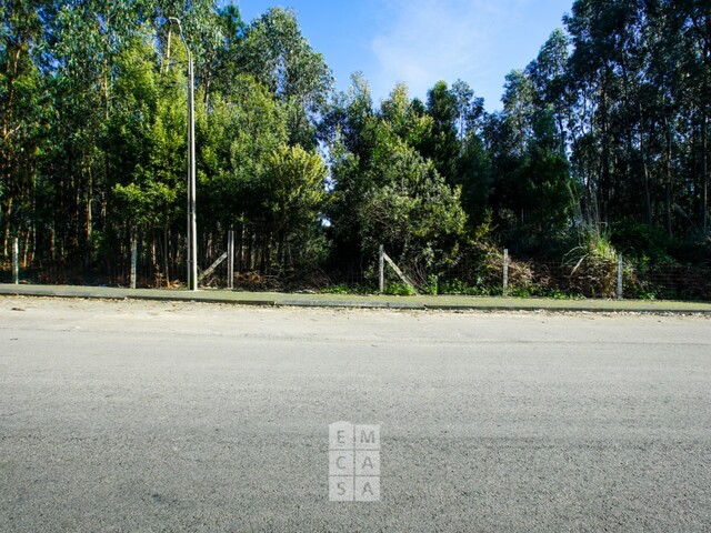 Terreno R�stico T0 - S�o Jo�o de Ver, Santa Maria da Feira, Aveiro - Imagem grande