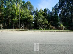 Terreno R�stico T0 - S�o Jo�o de Ver, Santa Maria da Feira, Aveiro