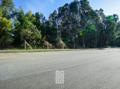 Terreno R�stico T0 - S�o Jo�o de Ver, Santa Maria da Feira, Aveiro - Miniatura: 1/11