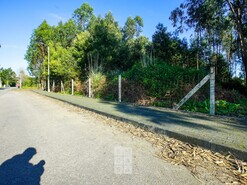 Terreno R�stico T0 - S�o Jo�o de Ver, Santa Maria da Feira, Aveiro - Miniatura: 3/11