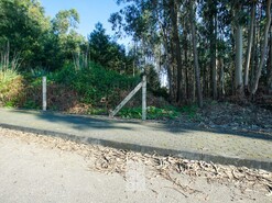 Terreno R�stico T0 - S�o Jo�o de Ver, Santa Maria da Feira, Aveiro - Miniatura: 4/11