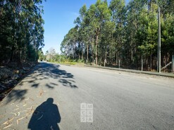 Terreno R�stico T0 - S�o Jo�o de Ver, Santa Maria da Feira, Aveiro - Miniatura: 6/11