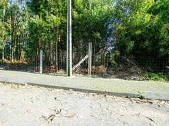 Terreno R�stico T0 - S�o Jo�o de Ver, Santa Maria da Feira, Aveiro - Miniatura: 7/11