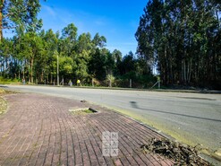 Terreno R�stico T0 - S�o Jo�o de Ver, Santa Maria da Feira, Aveiro - Miniatura: 9/11