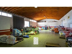 Armaz�m T0 - Santiago de Riba-Ul, Oliveira de Azem�is, Aveiro - Miniatura: 14/24