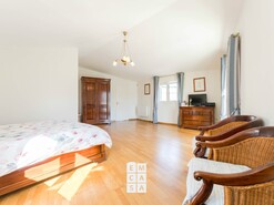 Quinta - Macieira de Cambra, Vale de Cambra, Aveiro - Miniatura: 14/24