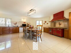 Quinta - Macieira de Cambra, Vale de Cambra, Aveiro - Miniatura: 24/24