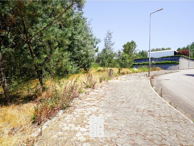 Terreno R�stico T0 - Nogueira do Cravo, Oliveira de Azem�is, Aveiro - Imagem grande