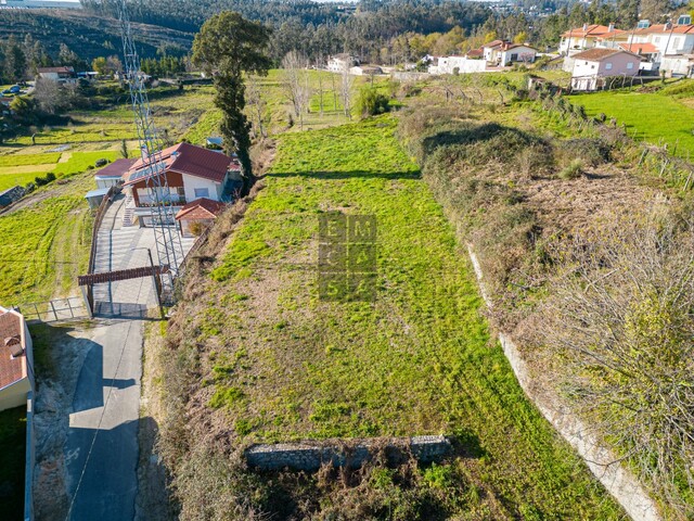 Terreno R�stico T0 - Pinheiro da Bemposta, Oliveira de Azem�is, Aveiro - Imagem grande