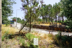 Terreno R�stico T0 - Nogueira do Cravo, Oliveira de Azem�is, Aveiro - Miniatura: 1/5