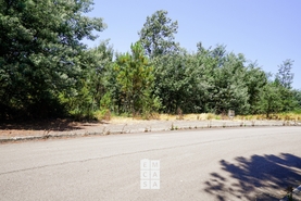 Terreno R�stico T0 - Nogueira do Cravo, Oliveira de Azem�is, Aveiro - Miniatura: 3/5