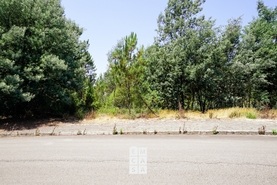 Terreno R�stico T0 - Nogueira do Cravo, Oliveira de Azem�is, Aveiro - Miniatura: 4/5