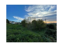 Terreno Urbano T0 - Santiago de Riba-Ul, Oliveira de Azem�is, Aveiro - Miniatura: 16/16
