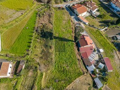 Terreno R�stico T0 - Pinheiro da Bemposta, Oliveira de Azem�is, Aveiro - Miniatura: 14/14