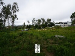 Terreno R�stico T0 - Mosteir�, Santa Maria da Feira, Aveiro - Miniatura: 4/5