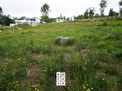 Terreno R�stico T0 - Mosteir�, Santa Maria da Feira, Aveiro - Miniatura: 5/5