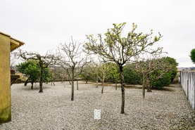 Terreno Urbano T0 - Vila de Cucuj�es, Oliveira de Azem�is, Aveiro - Miniatura: 1/22