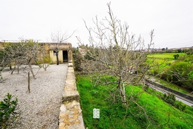 Terreno Urbano T0 - Vila de Cucuj�es, Oliveira de Azem�is, Aveiro - Miniatura: 3/22