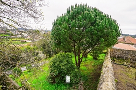 Terreno Urbano T0 - Vila de Cucuj�es, Oliveira de Azem�is, Aveiro - Miniatura: 5/22