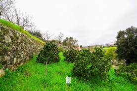 Terreno Urbano T0 - Vila de Cucuj�es, Oliveira de Azem�is, Aveiro - Miniatura: 12/22