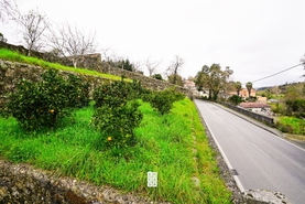 Terreno Urbano T0 - Vila de Cucuj�es, Oliveira de Azem�is, Aveiro - Miniatura: 15/22
