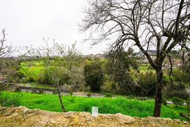 Terreno Urbano T0 - Vila de Cucuj�es, Oliveira de Azem�is, Aveiro - Miniatura: 16/22