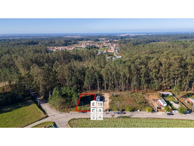 Terreno R�stico T0 - S�o Martinho da G�ndara, Oliveira de Azem�is, Aveiro - Imagem grande