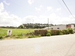 Terreno R�stico T0 - Santiago de Riba-Ul, Oliveira de Azem�is, Aveiro