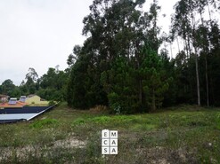 Terreno R�stico T0 - Mosteir�, Santa Maria da Feira, Aveiro