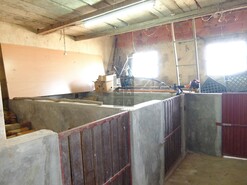 Moradia T3 - Branca, Albergaria-a-Velha, Aveiro - Miniatura: 22/23