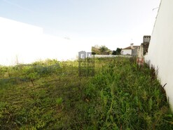 Moradia T3 - Pinheiro da Bemposta, Oliveira de Azem�is, Aveiro - Miniatura: 16/18