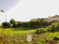 Terreno R�stico T0 - Santiago de Riba-Ul, Oliveira de Azem�is, Aveiro - Miniatura: 2/14