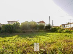 Terreno R�stico T0 - Santiago de Riba-Ul, Oliveira de Azem�is, Aveiro - Miniatura: 6/14