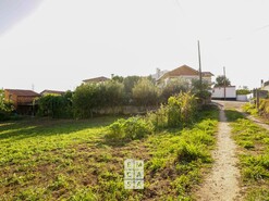 Terreno R�stico T0 - Santiago de Riba-Ul, Oliveira de Azem�is, Aveiro - Miniatura: 8/14