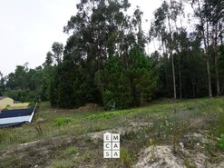 Terreno R�stico T0 - Mosteir�, Santa Maria da Feira, Aveiro - Miniatura: 1/4