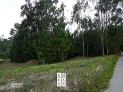 Terreno R�stico T0 - Mosteir�, Santa Maria da Feira, Aveiro - Miniatura: 2/4
