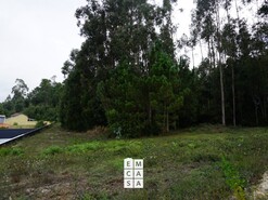 Terreno R�stico T0 - Mosteir�, Santa Maria da Feira, Aveiro - Miniatura: 3/4