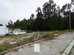 Terreno R�stico T0 - Mosteir�, Santa Maria da Feira, Aveiro - Miniatura: 4/4