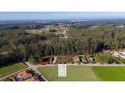 Terreno R�stico T0 - S�o Martinho da G�ndara, Oliveira de Azem�is, Aveiro - Miniatura: 1/11