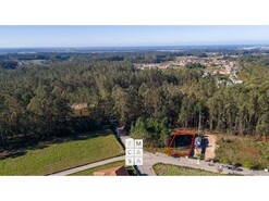 Terreno R�stico T0 - S�o Martinho da G�ndara, Oliveira de Azem�is, Aveiro - Miniatura: 2/11