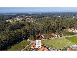 Terreno R�stico T0 - S�o Martinho da G�ndara, Oliveira de Azem�is, Aveiro - Miniatura: 3/11